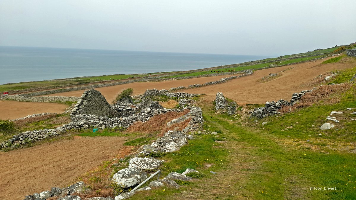 Ruins of a coastal farmstead & ancient terraced fields topped by historic walls, Llangelynin, #Meirionnydd; farming a narrow belt of soils between the rocky high ground to the east & the expanse of Cardigan Bay beyond

📷yesterday