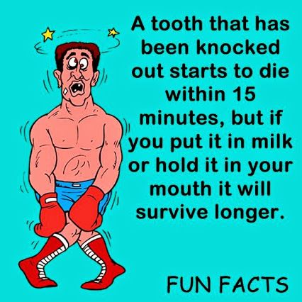 KitsFamDental's tweet image. #Dentaltips That being said, please go to your dentist as soon as possible to save that tooth. #knockedouttooth  #dentist #vancouverdentist #teeth #oralcare #oralhygiene #dentalhygiene #flosslikeaboss #brushyourteeth