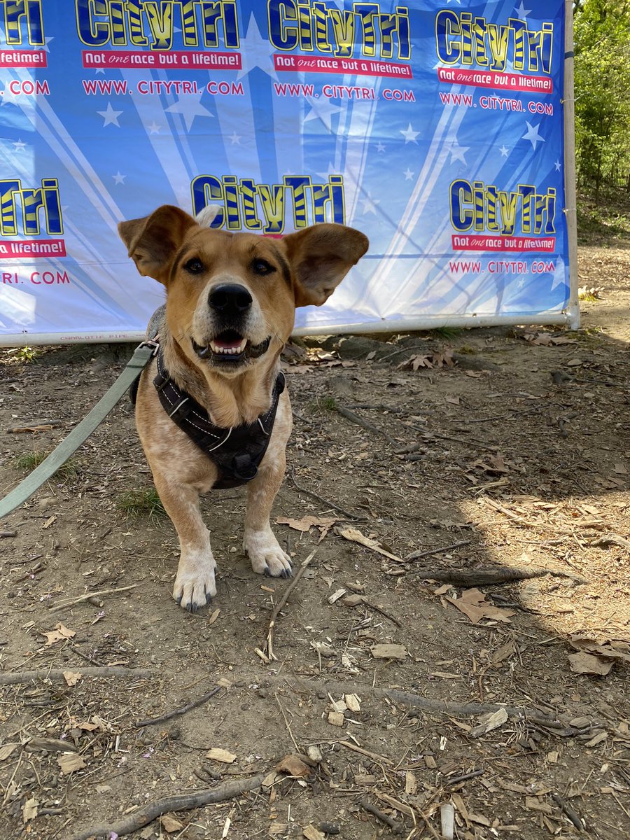 RT @svershbow: Simon won the City Triathlon’s 2 foot and under division. https://t.co/A9IaYDtAhT