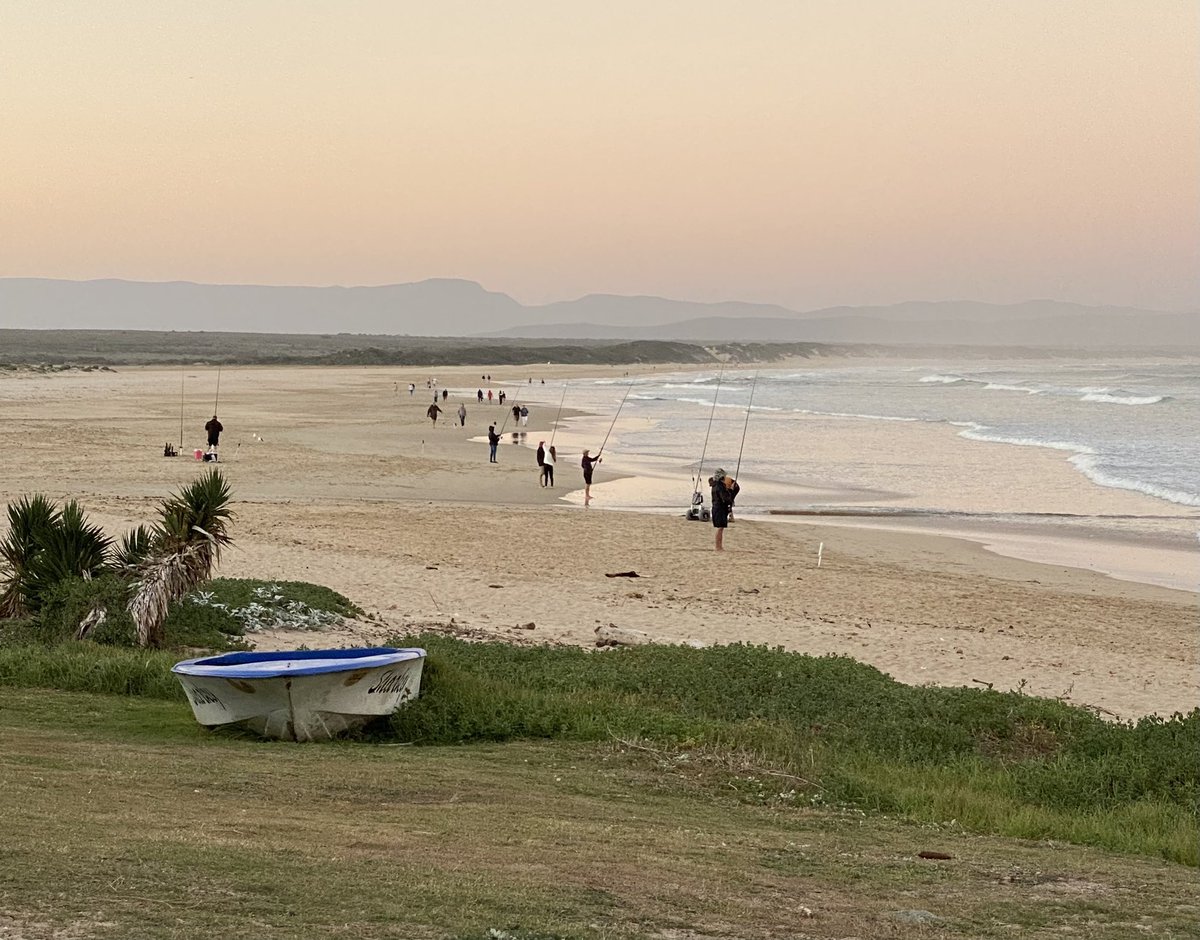 Dave Nosworthy tweet media