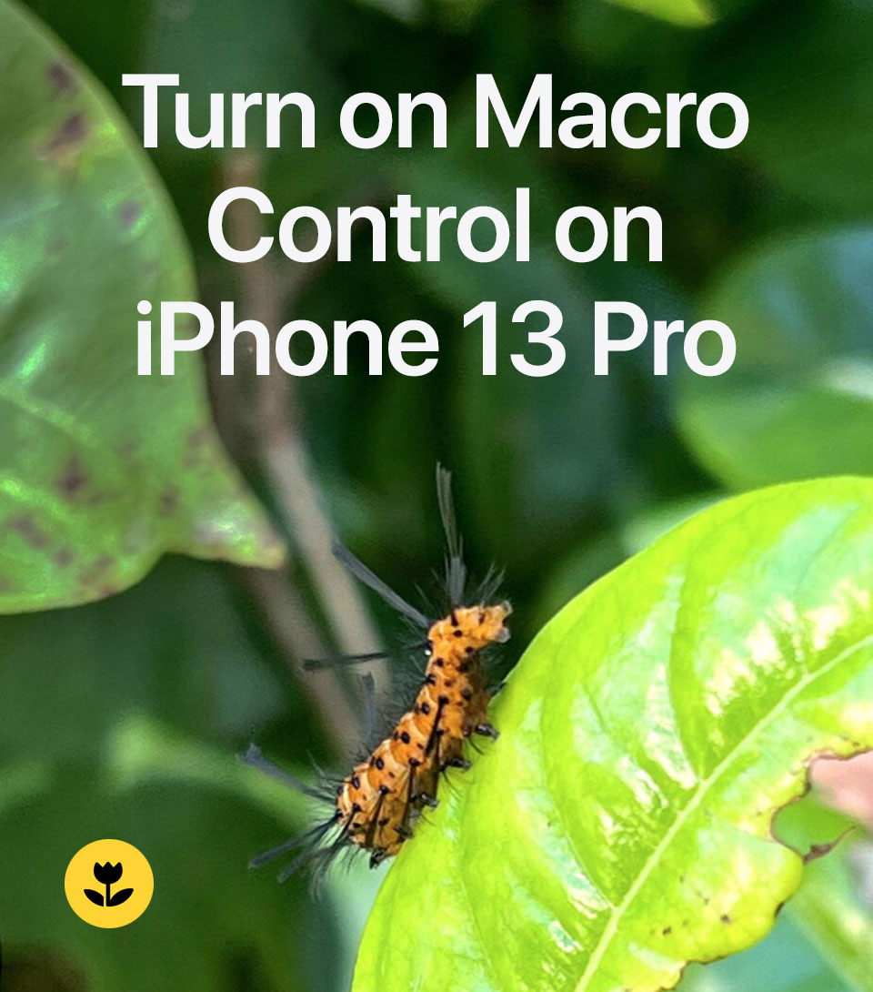 Apple Support tweet media