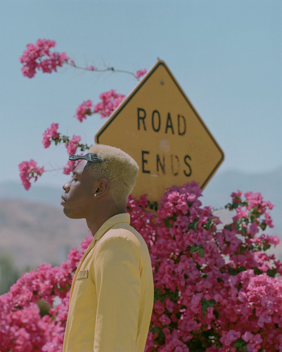 The camera 📷 &amp; the photos 🖼