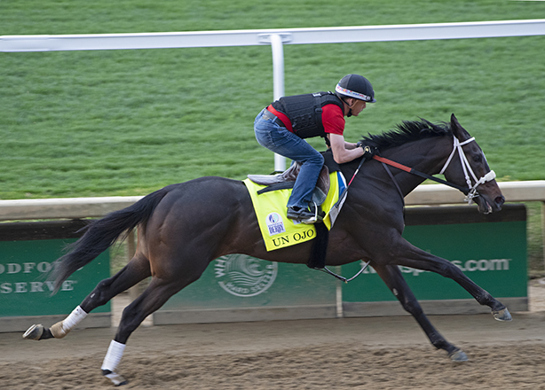 BH_AEberhardt's tweet photo. Fun weekend catching up with so many @KentuckyDerby contenders @ChurchillDowns #ClassicCauseway #ChargeIt #MoDonegal #UnOjo More news from @BH_BKing #BHDaily https://t.co/TavwVQ71kx