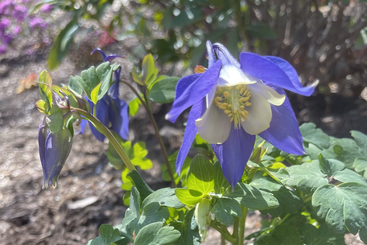 Cyndi Stivers tweet media