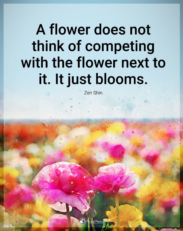 TorCathy's tweet photo. https://t.co/NDqn8uUpwD