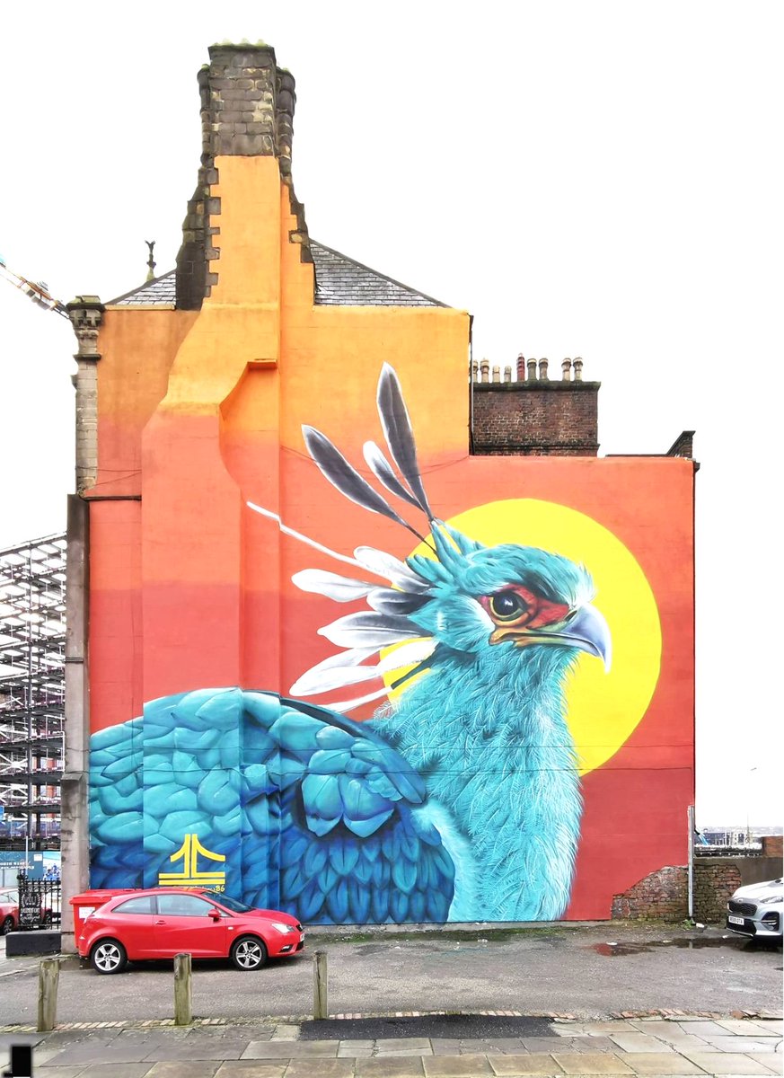 DrDarrenRFlower's tweet photo. Street Art #StreetArt Secretary Bird https://t.co/LuJSnKzr6c