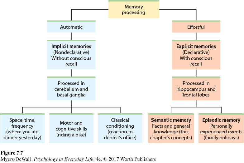 Long-term memory can be broken up into several categories, the first being explicit memory and implicit memory.
