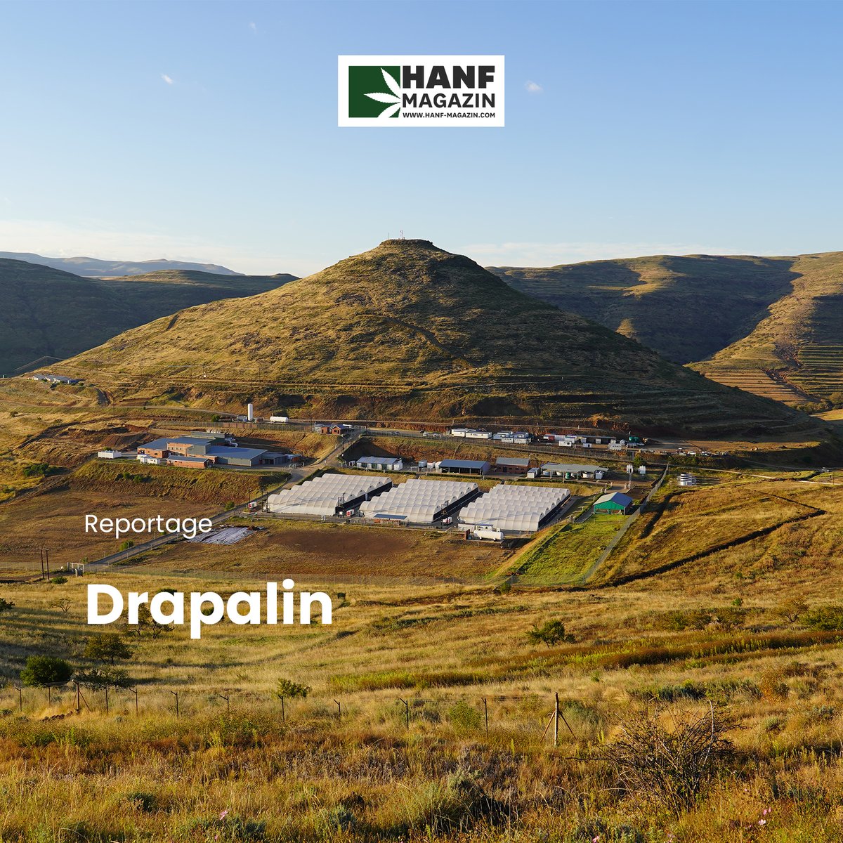 Anfang August gab das Münchner Unternehmen <a href="/drapalin/">Drapalin Pharmaceuticals</a> Pharmaceuticals GmbH bekannt, dass es als erstes europäisches Unternehmen deutsche Apotheken mit Cannabis in pharmazeutischer Qualität aus Afrika beliefert. 

➡️ Link zum Text: hnf.link/39WS

#hanfmagazin #drapaliin