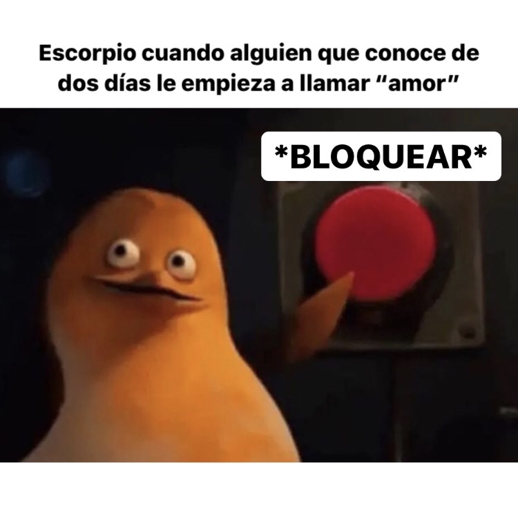 escorpio_hn's tweet photo. 🤣🤣🤣 #escorpio #horoscoponegro https://t.co/y5lRBRcwgC