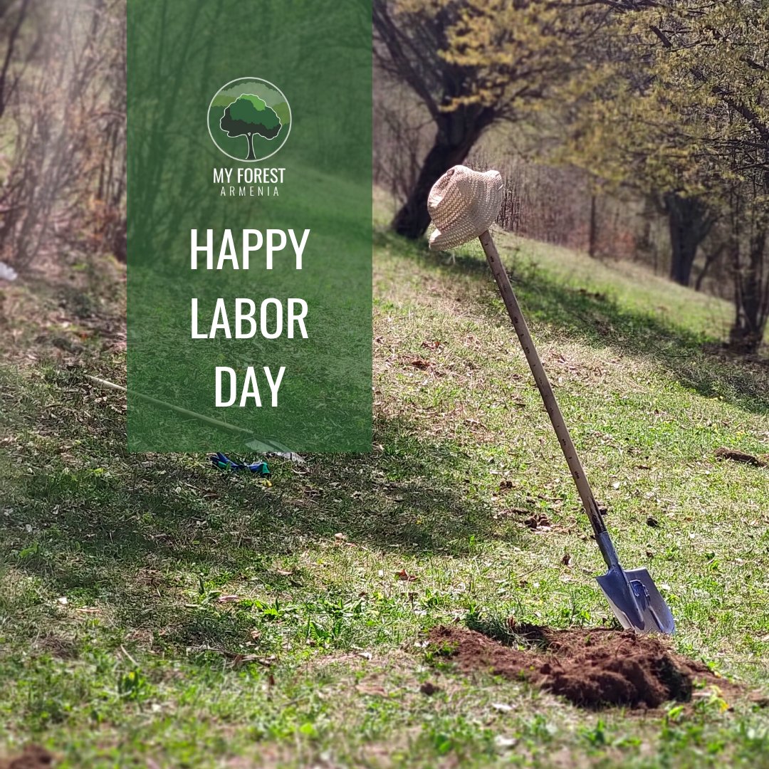 🧑‍🌾 Thanks to our workers we planted more trees than we have planned for Spring Planting 2022 💪

#MyForestArmenia #PlantTreesForLife #laborday2022 #treeplanting