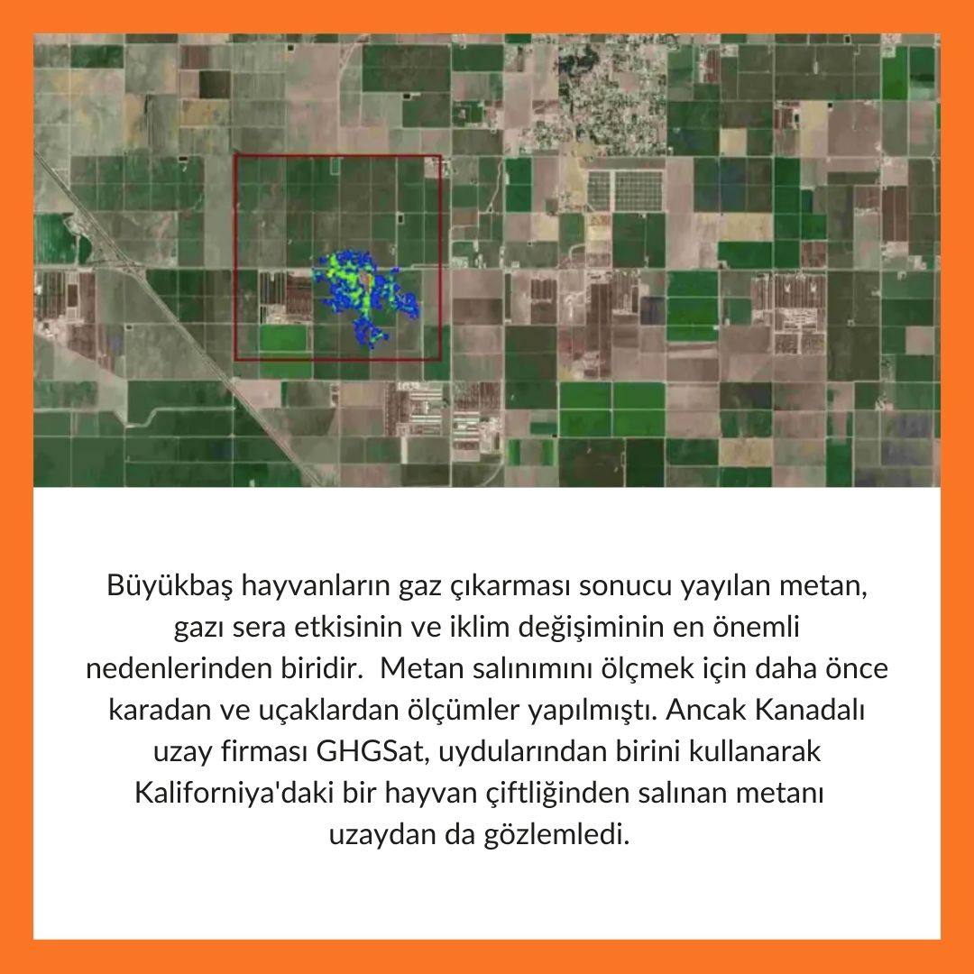 #metan #iklimdeğişimi #inek