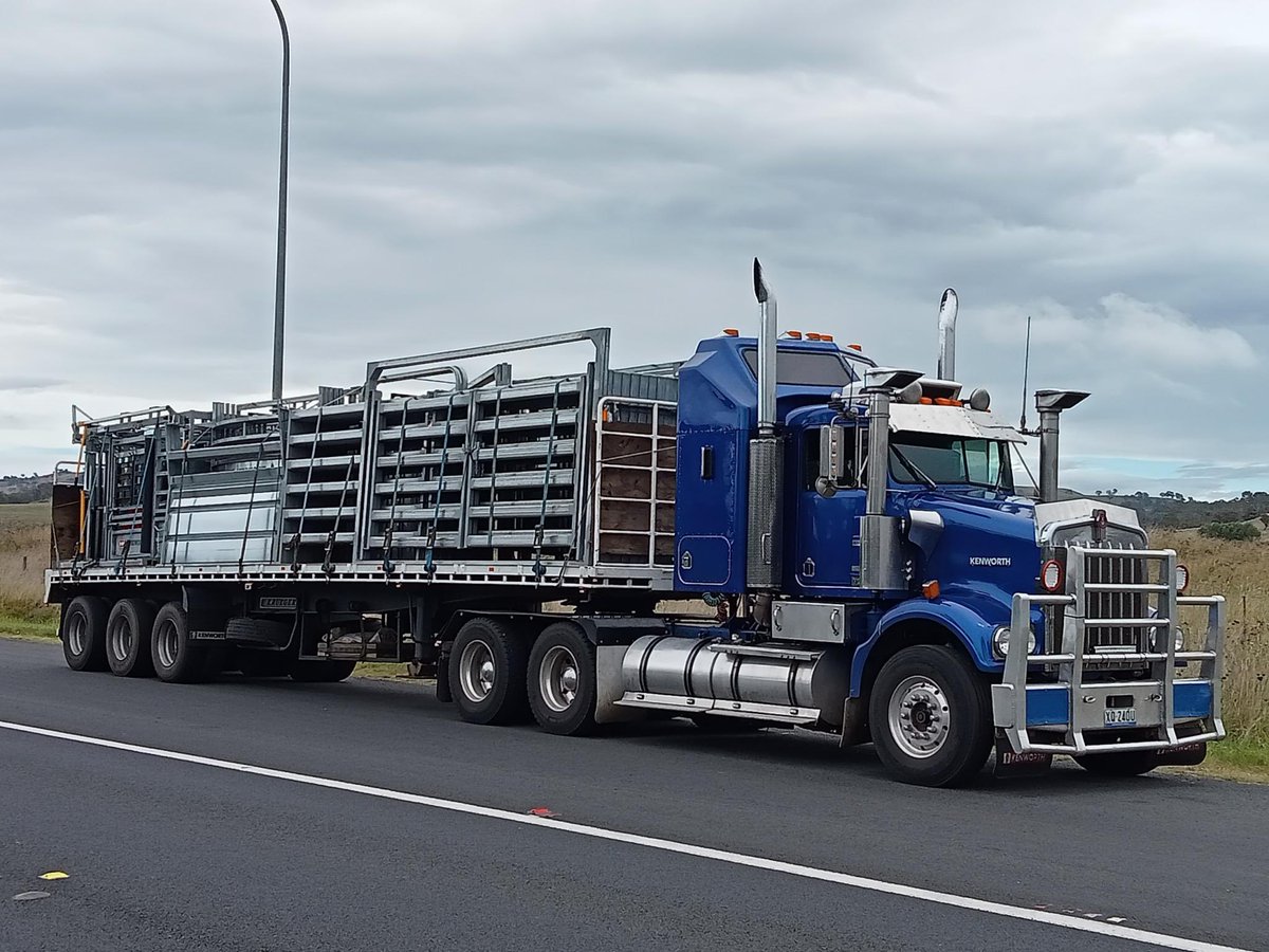 Cattle yards on the way to there new home 👍