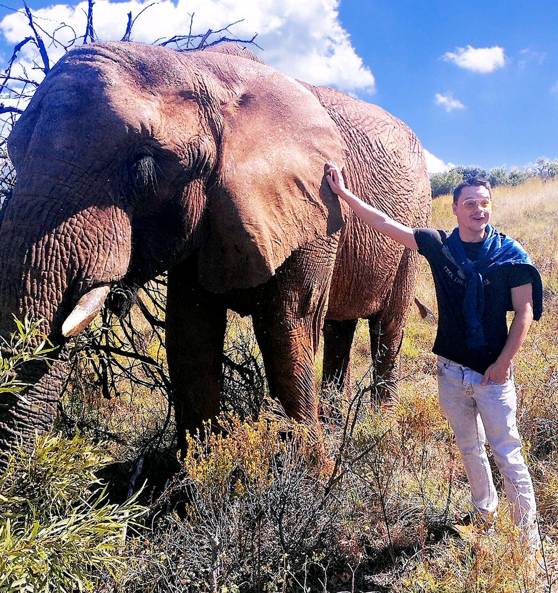 Anything or anyone that does not bring you alive is too small for you.

#longweekend #elephants #awesome #life #me #wildlife #proudlysouthafrican #southafrica #nature