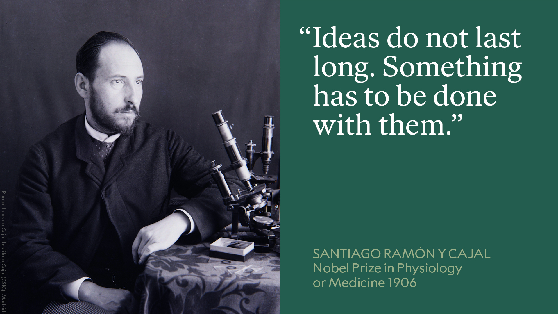 The Nobel Prize on Twitter: 