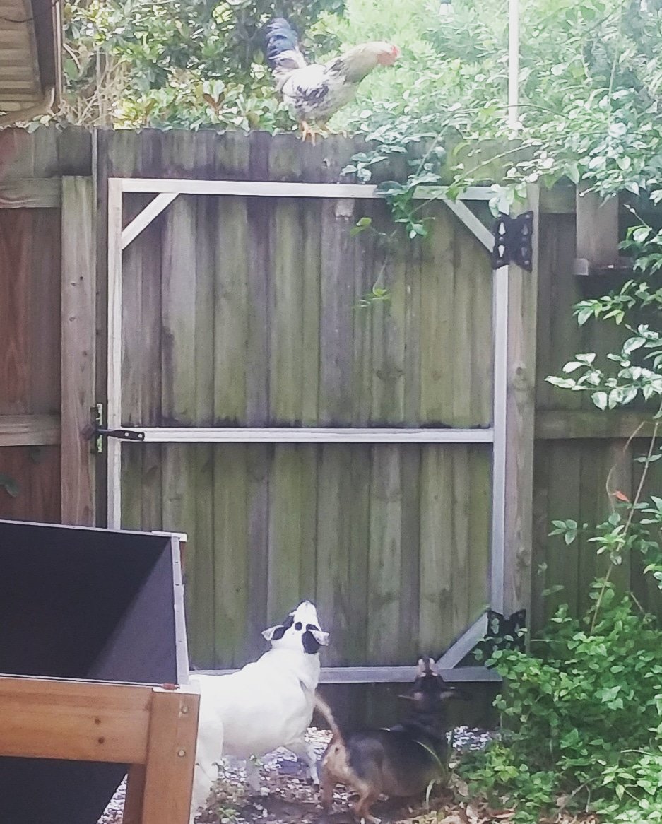 Bill Person tweet media