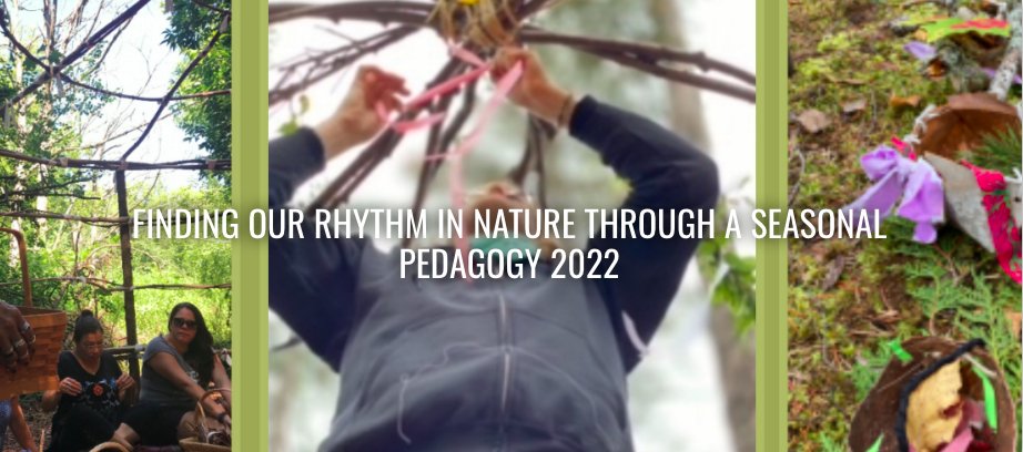 York Region Nature tweet media