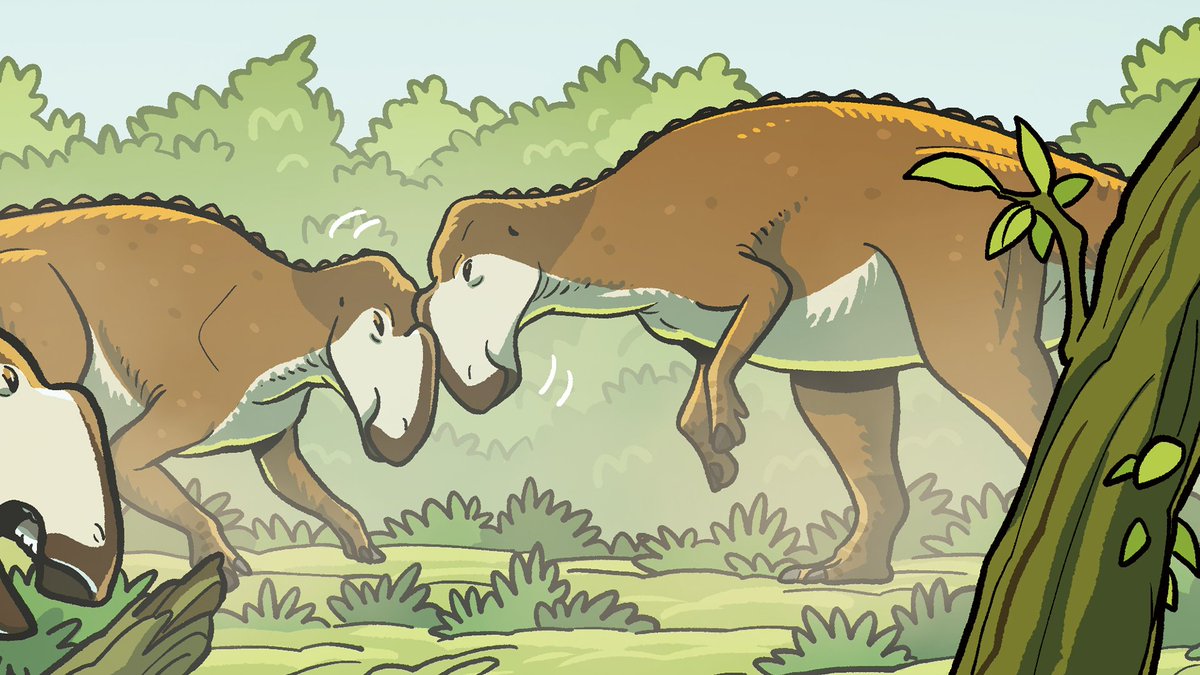 usikpaleoart's tweet photo. 투닥투닥
#Gryposaurus https://t.co/DXd6SrQCKh