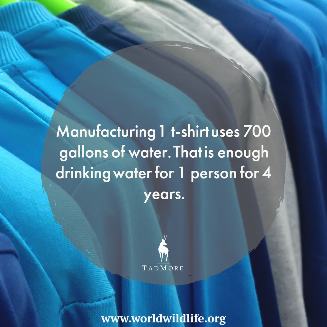 Reuse, repair, reduce, recycle! For clean and accessible water for all.

#TMTailor #factoftheday #didyouknow #chooseslowfashion #slowfashionsaveswater #endfastfashion #repairyourwardrobe #alteryourclothes #wardroberehab #usewhatyouhave #waterforall #waterintensive