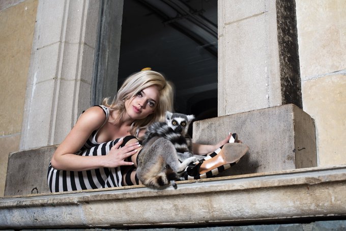 Just your typical girl next door&hellip; or am I? Retweet if you care. Comment and like if you ❤️!!  @SagePillar<a href="/tag/model"class="tags"><span>#model</span></a><a href="/tag/girl"class="tags"><span>#girl</span></a><a href="/tag/traveling"class="tags"><span>#traveling</span></a><a href="/tag/nude"class="tags"><span>#nude</span></a><a href="/tag/modeling"class="tags"><span>#modeling</span></a><a href="/tag/lgbtq"class="tags"><span>#lgbtq</span></a>