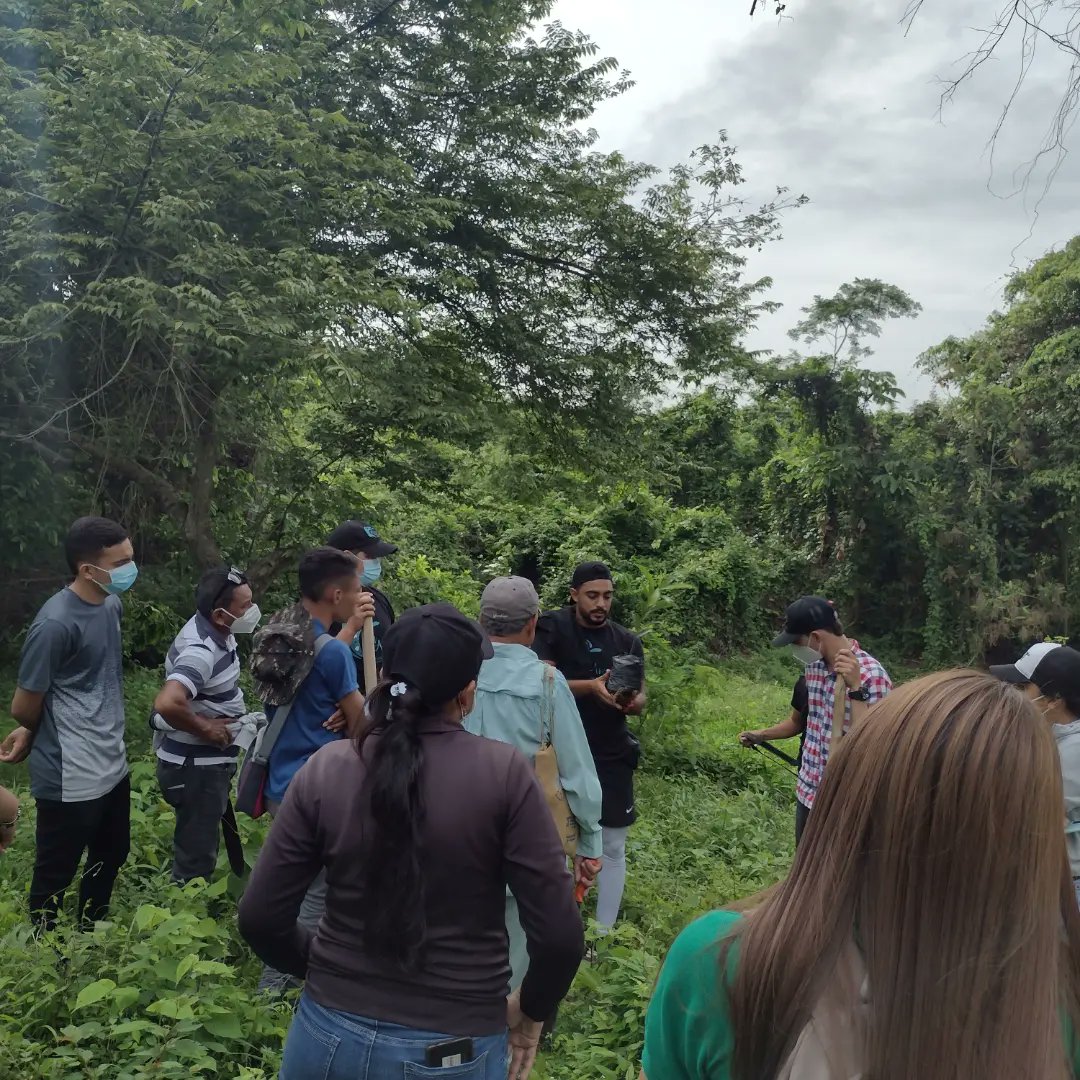 MarFundacion's tweet photo. #DiaNacionaldelÁrbol🌳 
'Aquel que planta un Árbol, planta una esperanza' 💙☘️🌎
-
Fundación Mar de Amor 💙 junto a  AutoRobles S.A y a Fundación Monte Firme  realizó una #Sembraton🌱🌳 en el corregimiento de San José de Pileta, del municipio de Corozal, Sucre. https://t.co/5JnbB0966m