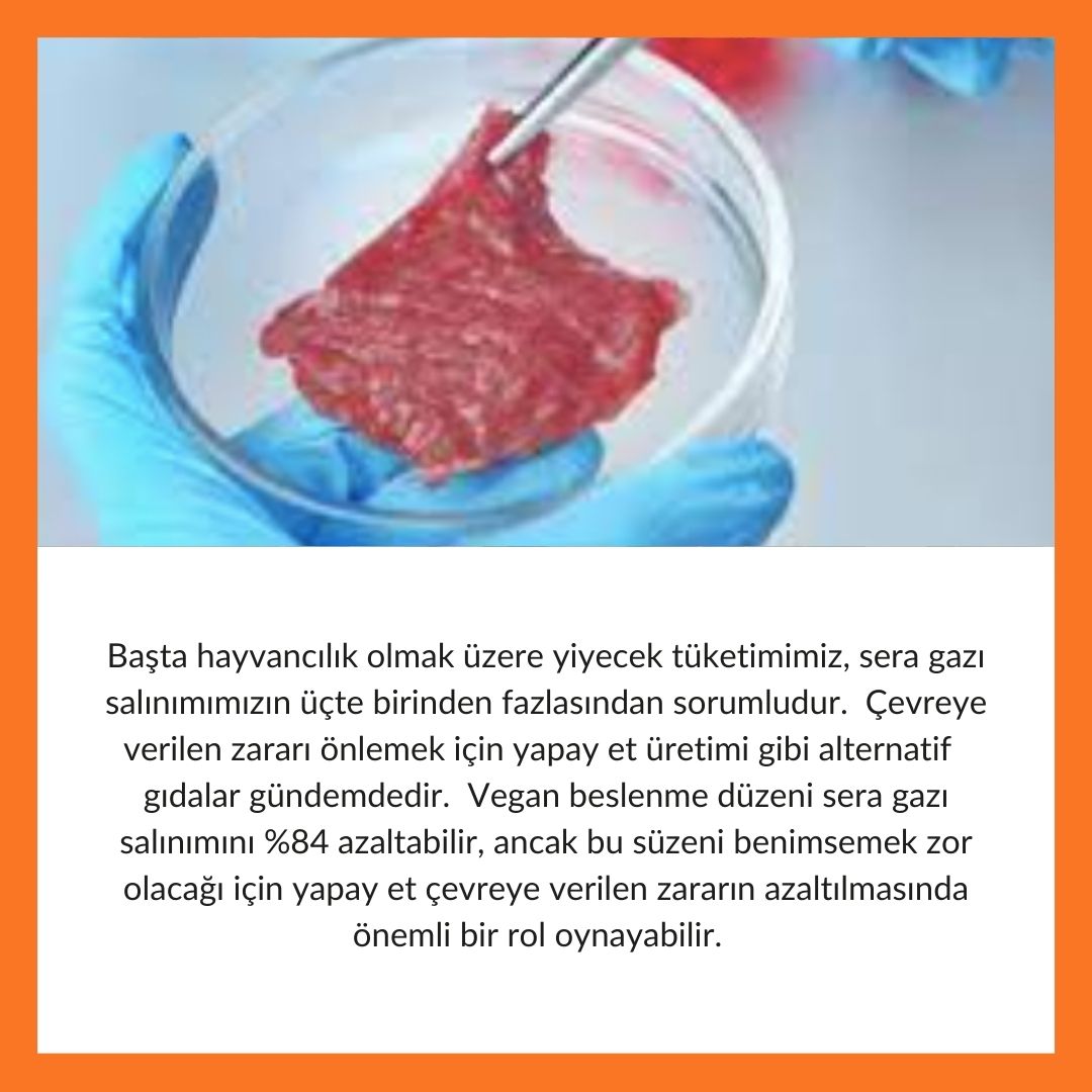 #yapayet #vegan #iklimdeğişimi #seragazları