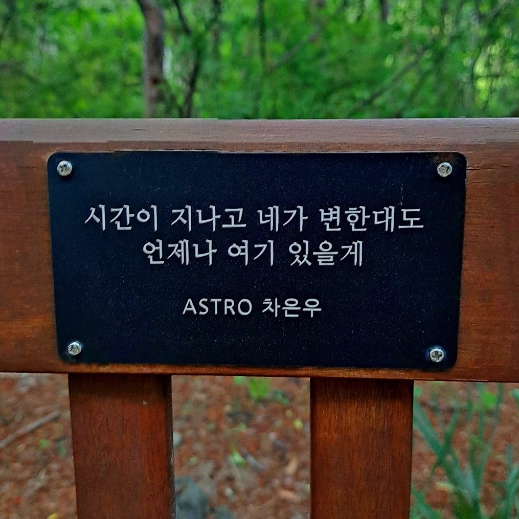 🪑서울숲 벗나무길 

드디어 차은우 벤치 보고 왔다 !