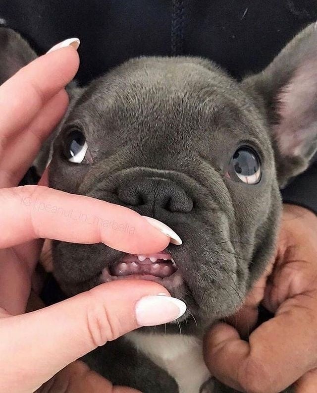 ARTIFAXING (@pedestrian) on Twitter photo 