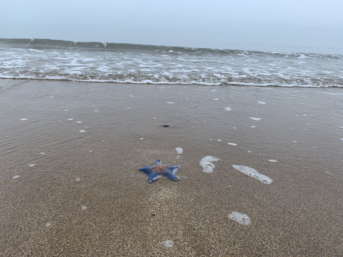 Mei-Lyn Freeman tweet media