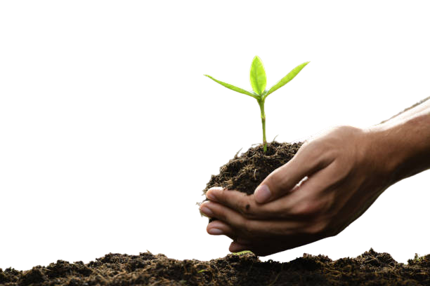 NExtAgric's tweet photo. Use the https://t.co/6jkHLPNKzL platform to access dozens of agribusiness investments.

Traditional farming meets Blockchain Technology... Token backed agribusiness investment will get you closer to the new reality!
#agtech #agribusiness #agriculture #aquaculture #Farmers https://t.co/ryIODMZtBc
