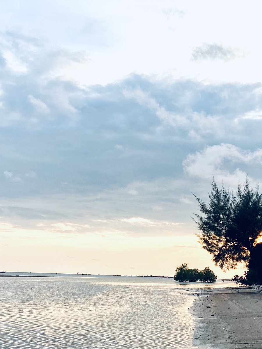 S (@zanwayq) on Twitter photo 