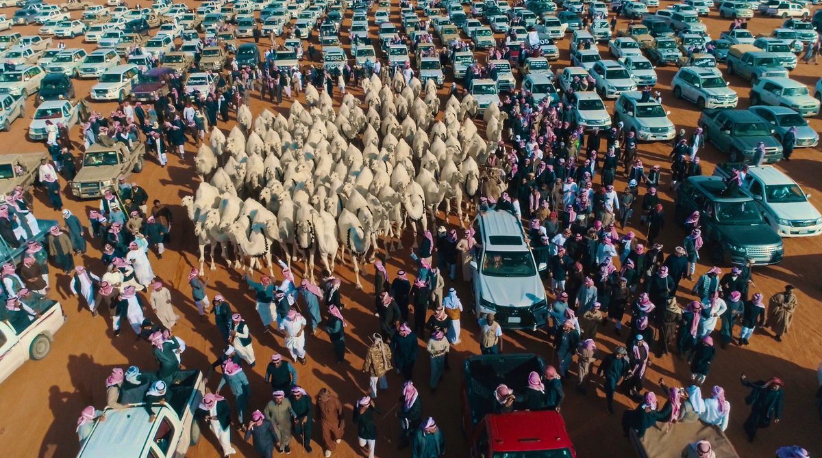 omaairfahad's tweet image. جماهير #مضيمات #وضح_الجزيرة الفخم كل عام وانتم بخير وعساكم من عواده يا أهل النواميس