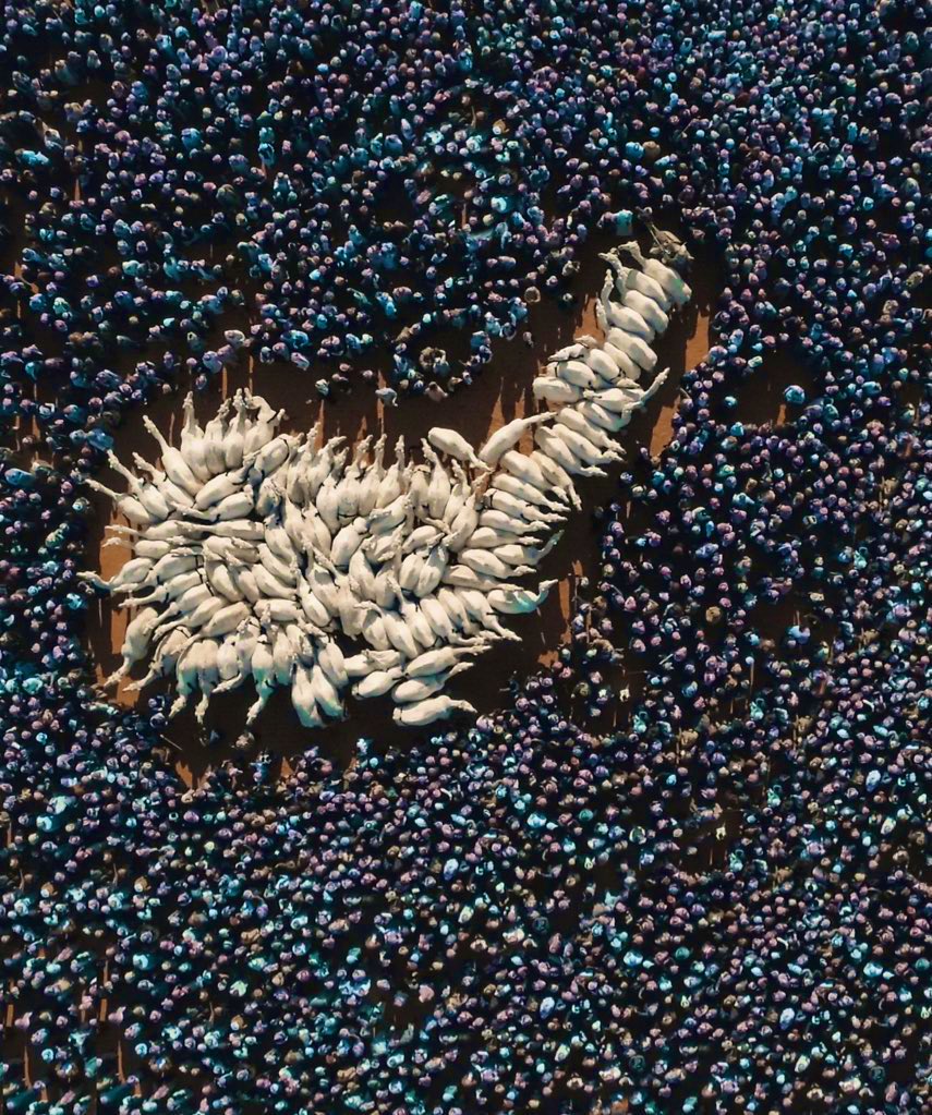 omaairfahad's tweet image. جماهير #مضيمات #وضح_الجزيرة الفخم كل عام وانتم بخير وعساكم من عواده يا أهل النواميس