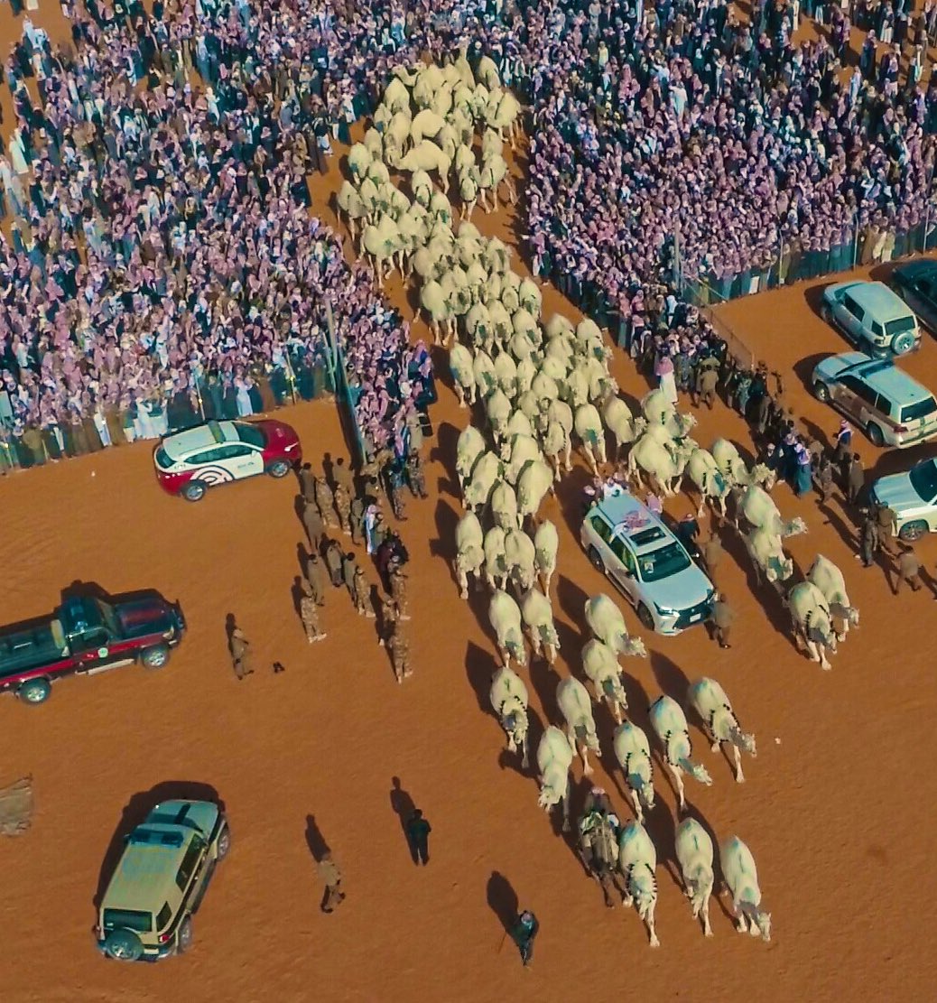 omaairfahad's tweet image. جماهير #مضيمات #وضح_الجزيرة الفخم كل عام وانتم بخير وعساكم من عواده يا أهل النواميس