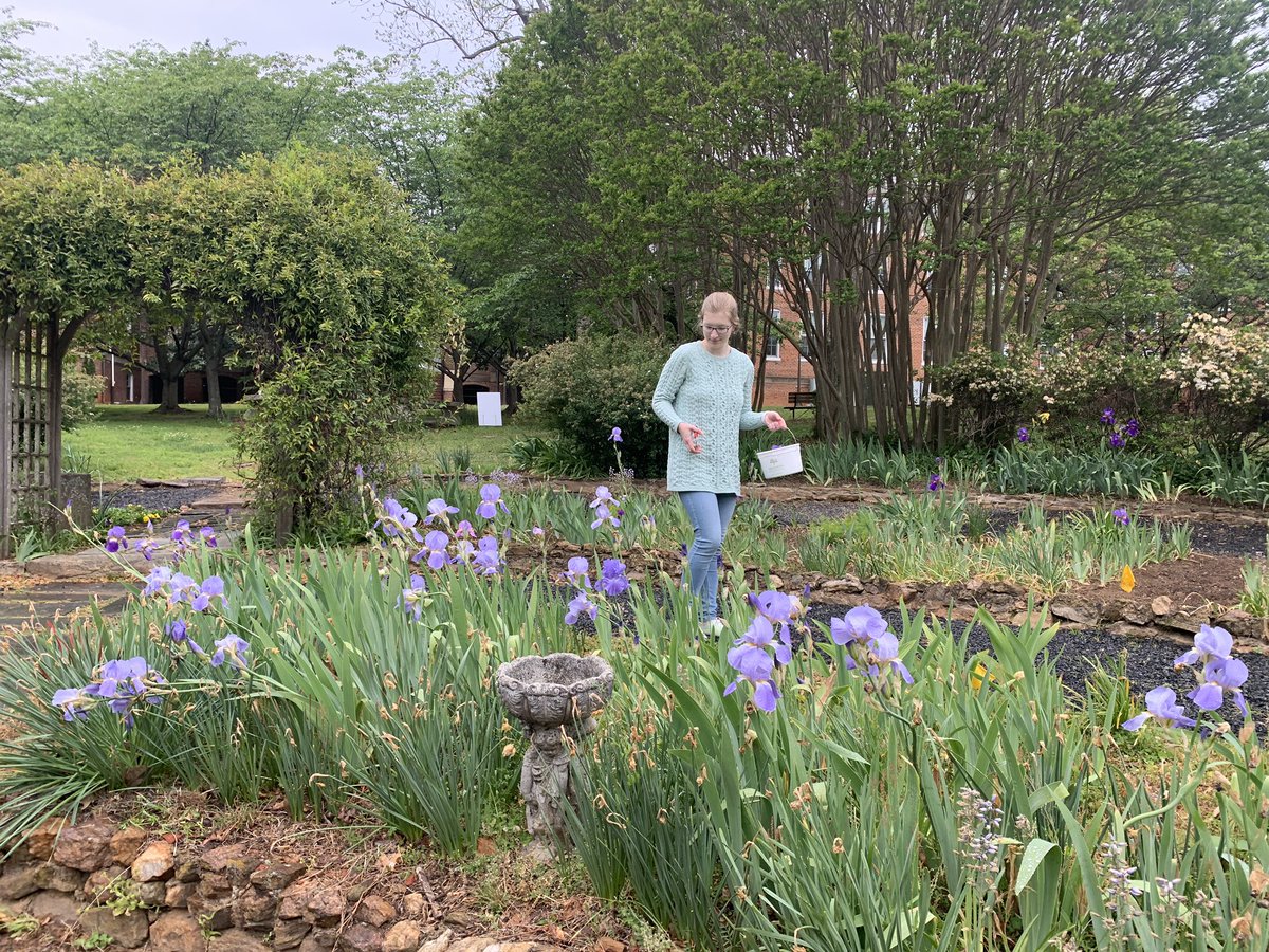 FRC9003's tweet photo. Tradition continues @ChathamHall Happy May Day! #CurtisGarden #MayDayBaskets https://t.co/lwOuvKgrGr