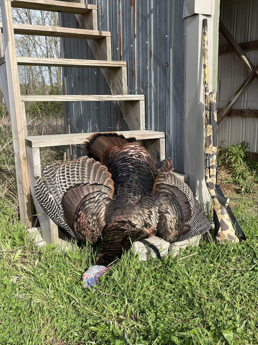 Good morning on this fine #sundaygunday !#huntthebreak <a href="/BrowningArms/">Browning</a> <a href="/BrowningCams/">BrowningTrailCameras</a> <a href="/BrowningAmmo/">Browning Ammo</a>