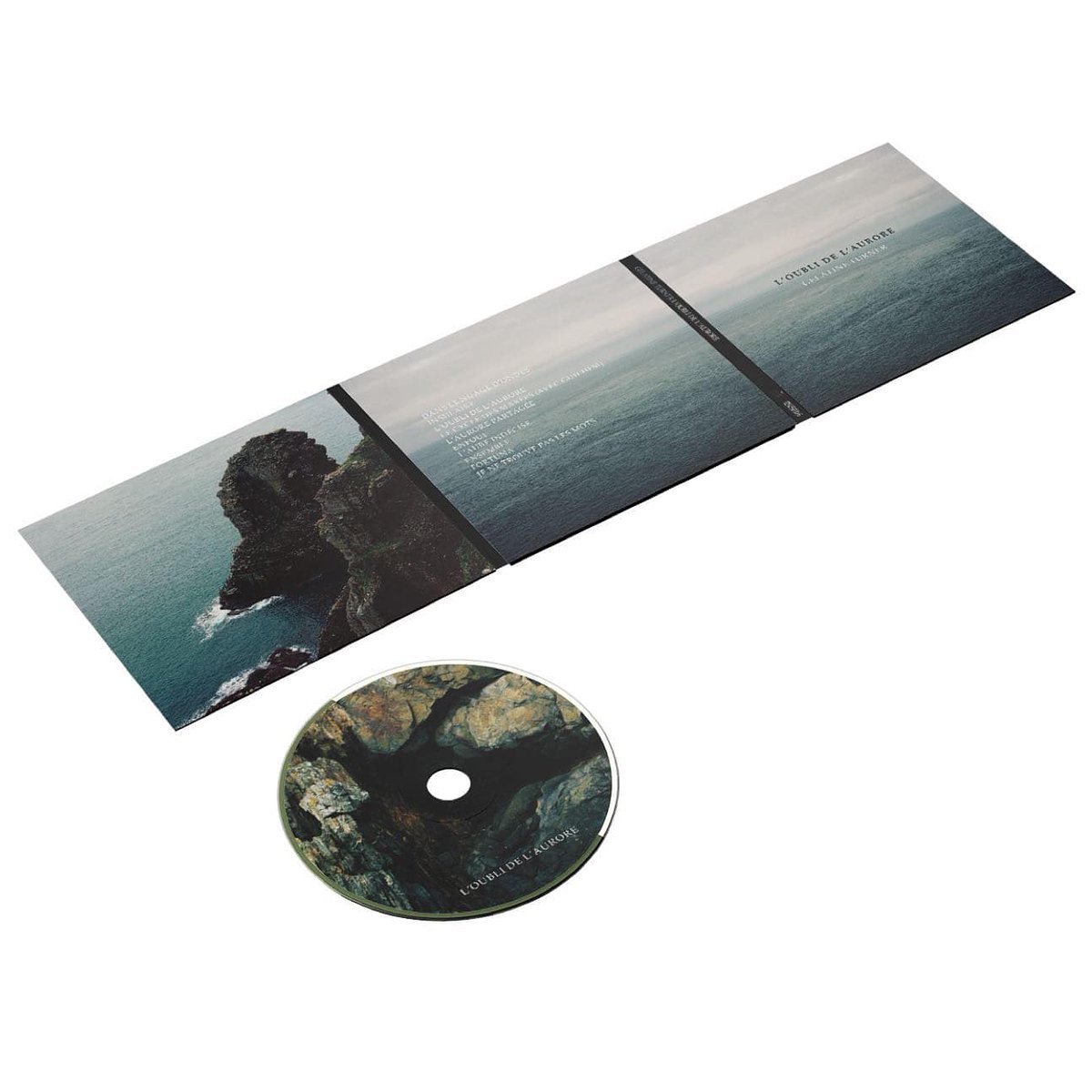 In Silico Records tweet media