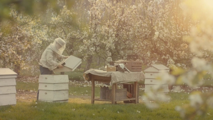 JuliaBlythe_'s tweet photo. May 1899 in Avonlea
#renewannewithane https://t.co/8haFwMoRrP