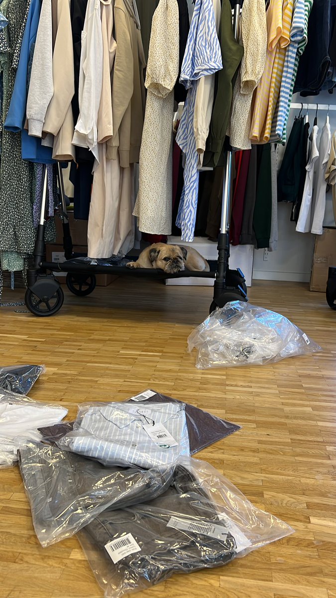 benjphilip's tweet photo. Hjælper lige med at kvalitetstjekke de nye varer. Ikke en særlig oplagt indstilling af møde ind med. https://t.co/lJ4qg3VJgG