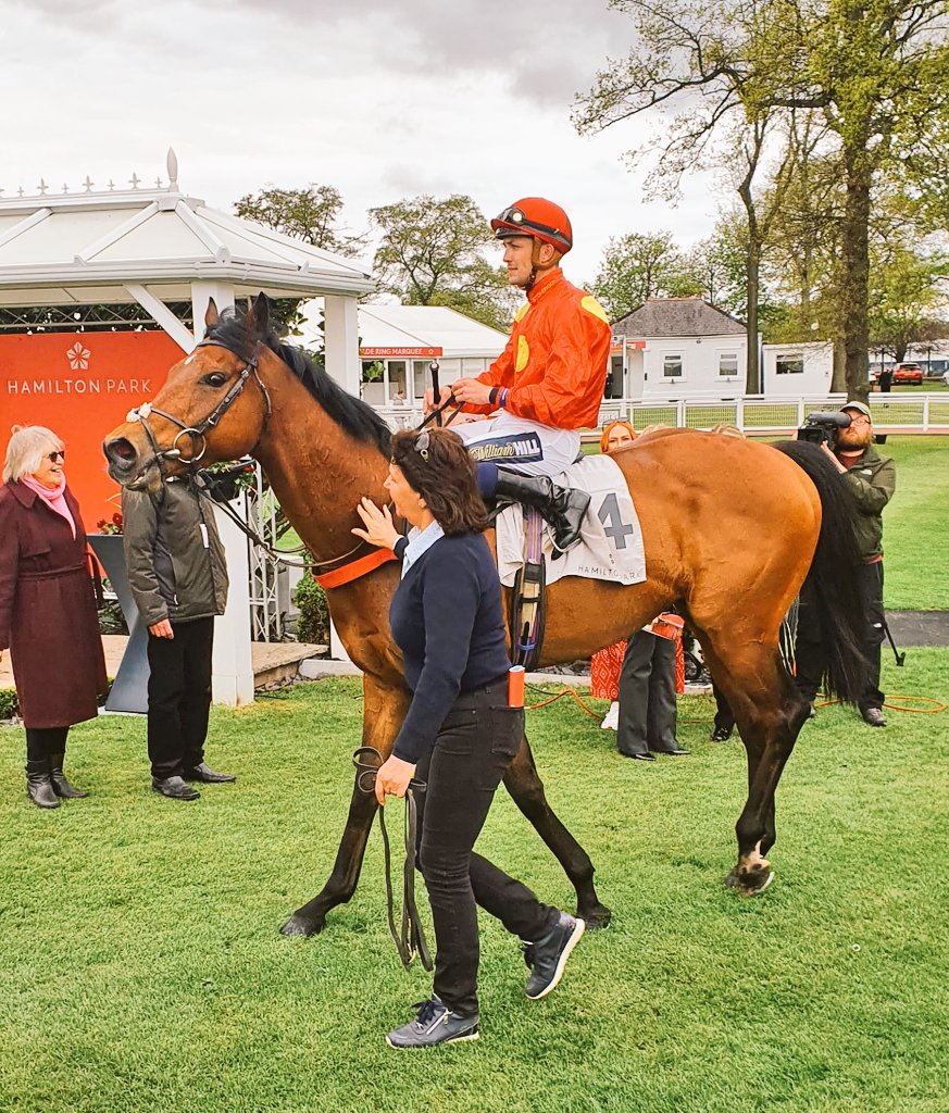 haywardsport's tweet photo. What a weekend for Cumbria! Dianne Sayer first wins the @ThirskRaces Hunt Cup yesterday with #Redarna at 66/1 and today wins @HamiltonParkRC with #Detective @JuddmonteFarms #Kingman @StottKevin https://t.co/Cd8ViCgWfs