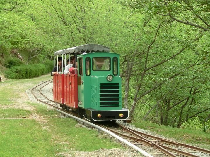 GoGoEasyApp's tweet photo. シグナス森林鉄道, Hyōgo Prefecture, Japan

Discover more interesting events in GoGoEasy app:
https://t.co/3uSMwWLNDT

#GoGoEasy #Travel #Trip #Plan #Vacation https://t.co/eYvaHJik4W