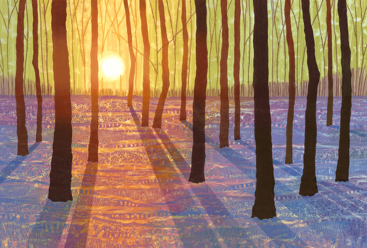 'Bluebell Woodland' by contemporary Northumberland printmaker Rebecca Vincent #WomensArt