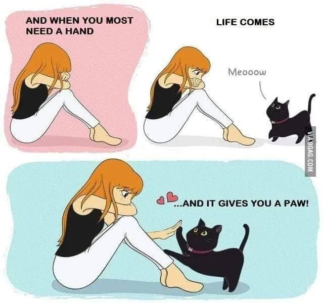 Parkplaner (@parkplanter) on Twitter photo 