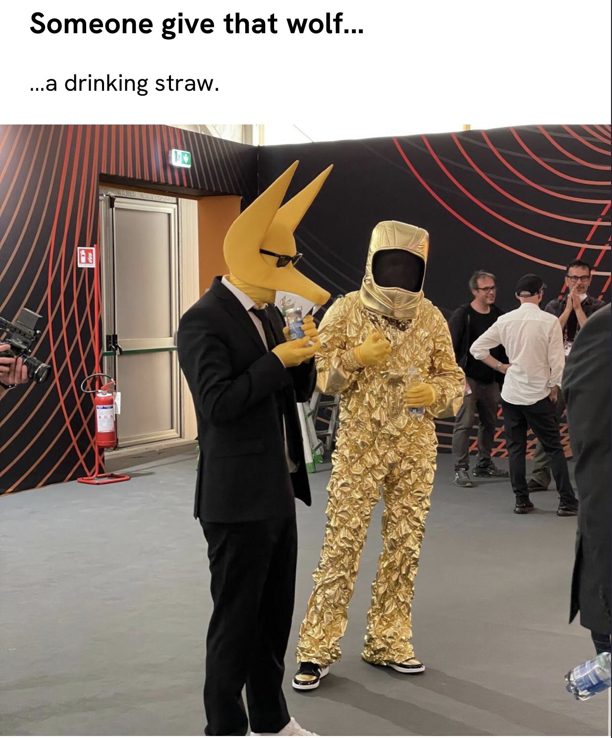 FRriSHvaQAEsW2i?format=jpg&name=large