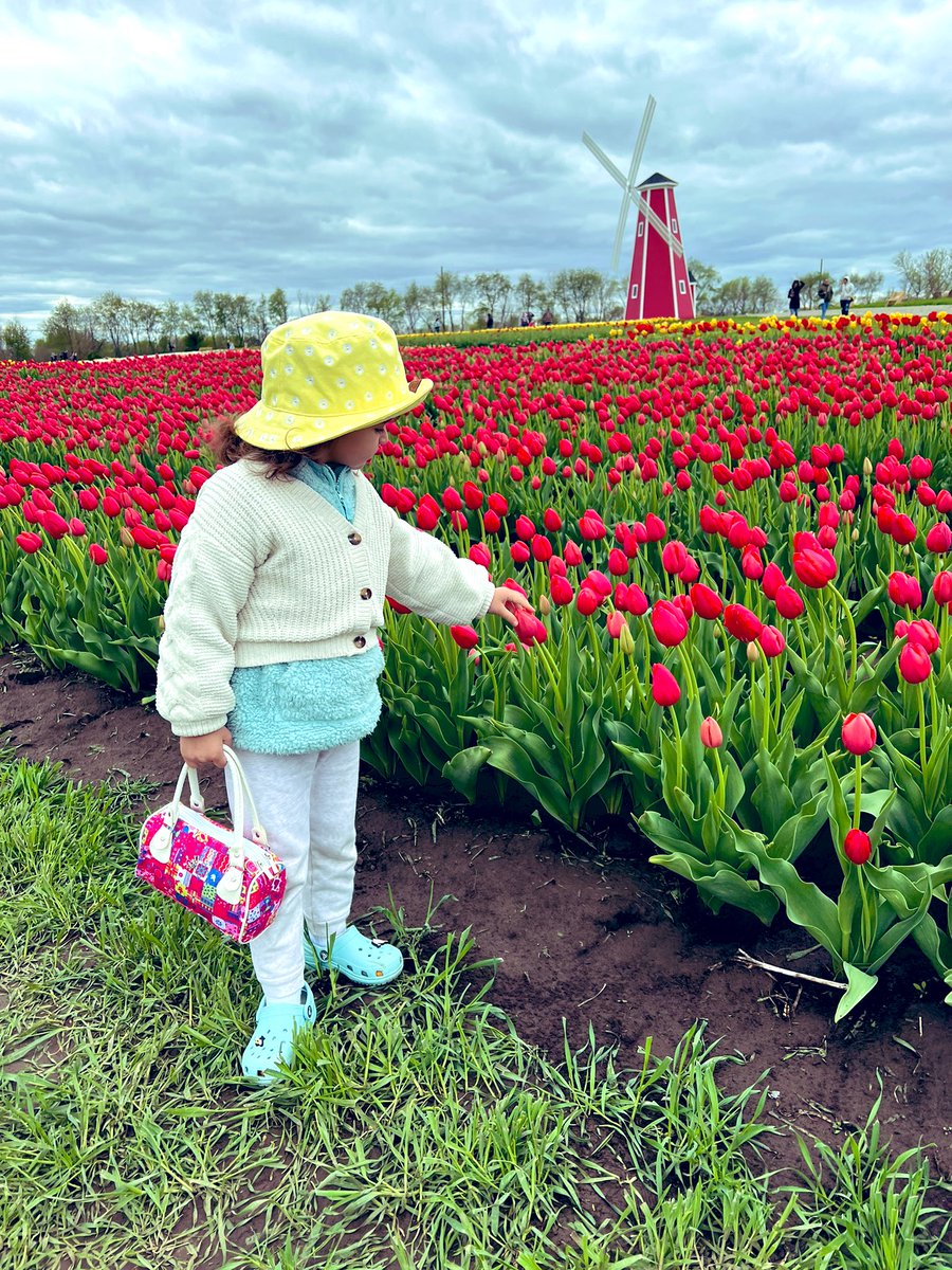 Skyler Talbott tweet media