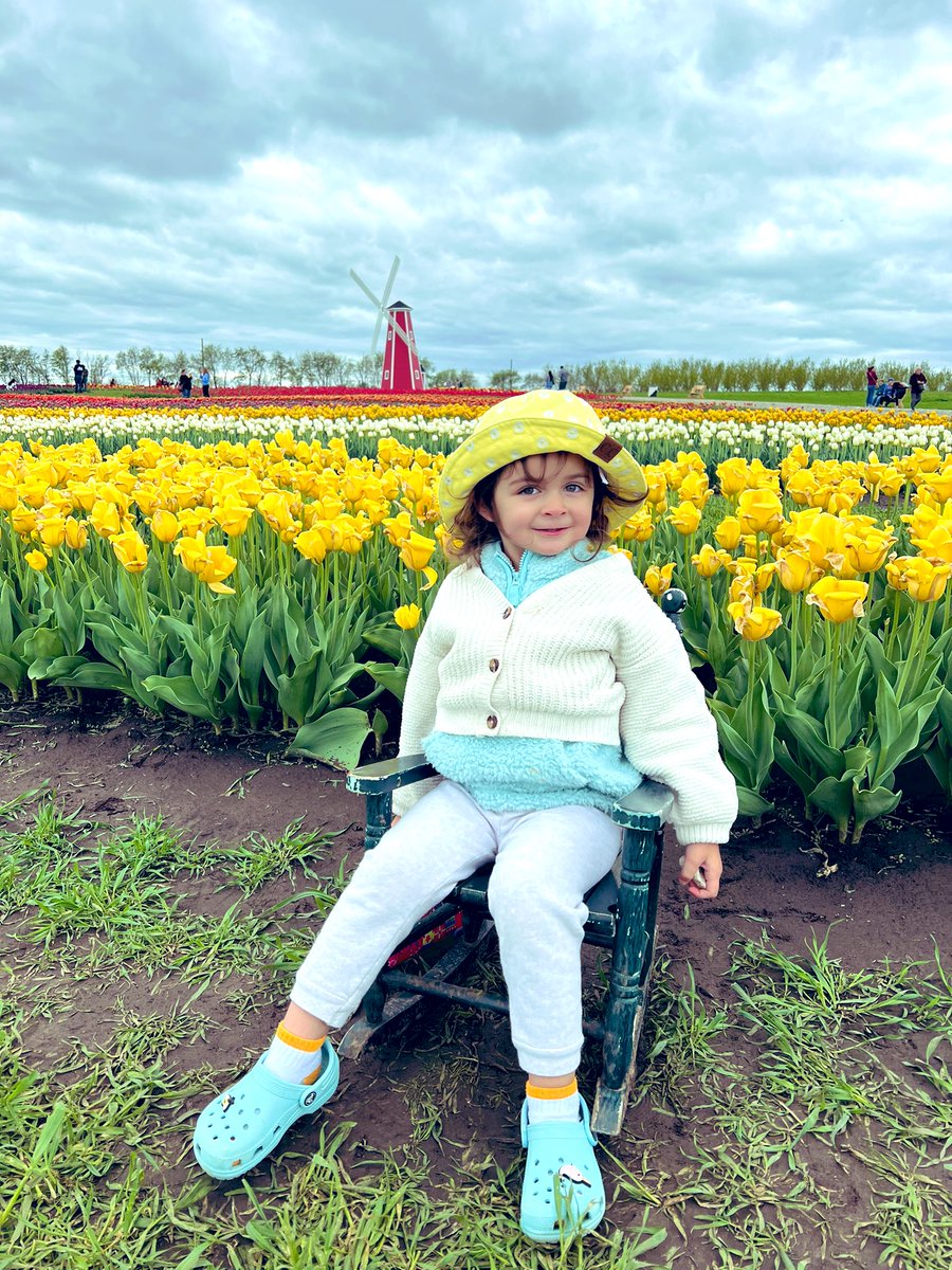 Skyler Talbott tweet media