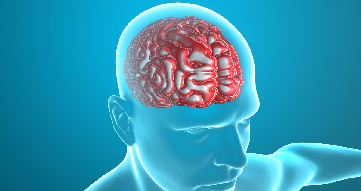 Researchers have found that introverts have a higher blood flow to their frontal lobe -- the part of the brain that helps you remember things, solve problems, and plan ahead. wb.md/39fZhIe