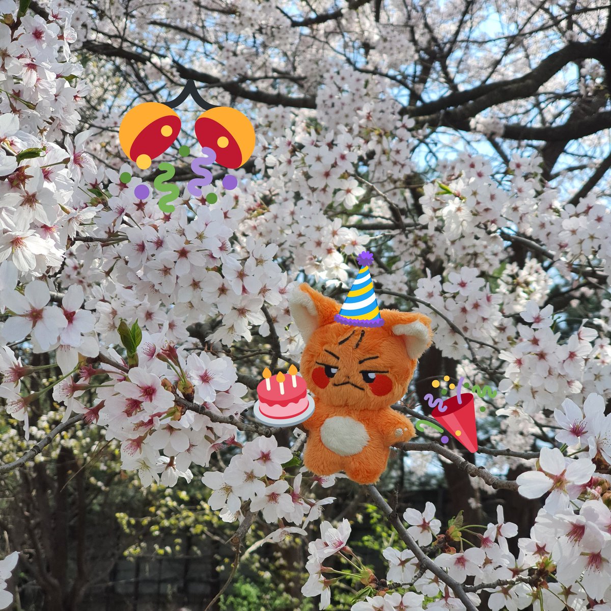 SEK_Meow's tweet photo. 🦊육성재 생일 이벤트🦊

오늘은 비투비 육성재의 생일입니다!😊 생일을 기념해서❗5월 2일❗단 하루간 알티 해주신 분들 중 추첨을 통해 두 분에게 여우뎨 인형을 드립니다😍 많은 관심 부탁드려요💙

#오월의_별들중_성재가_가장_빛나 #비투비 #육성재 https://t.co/r9TRc77cYg