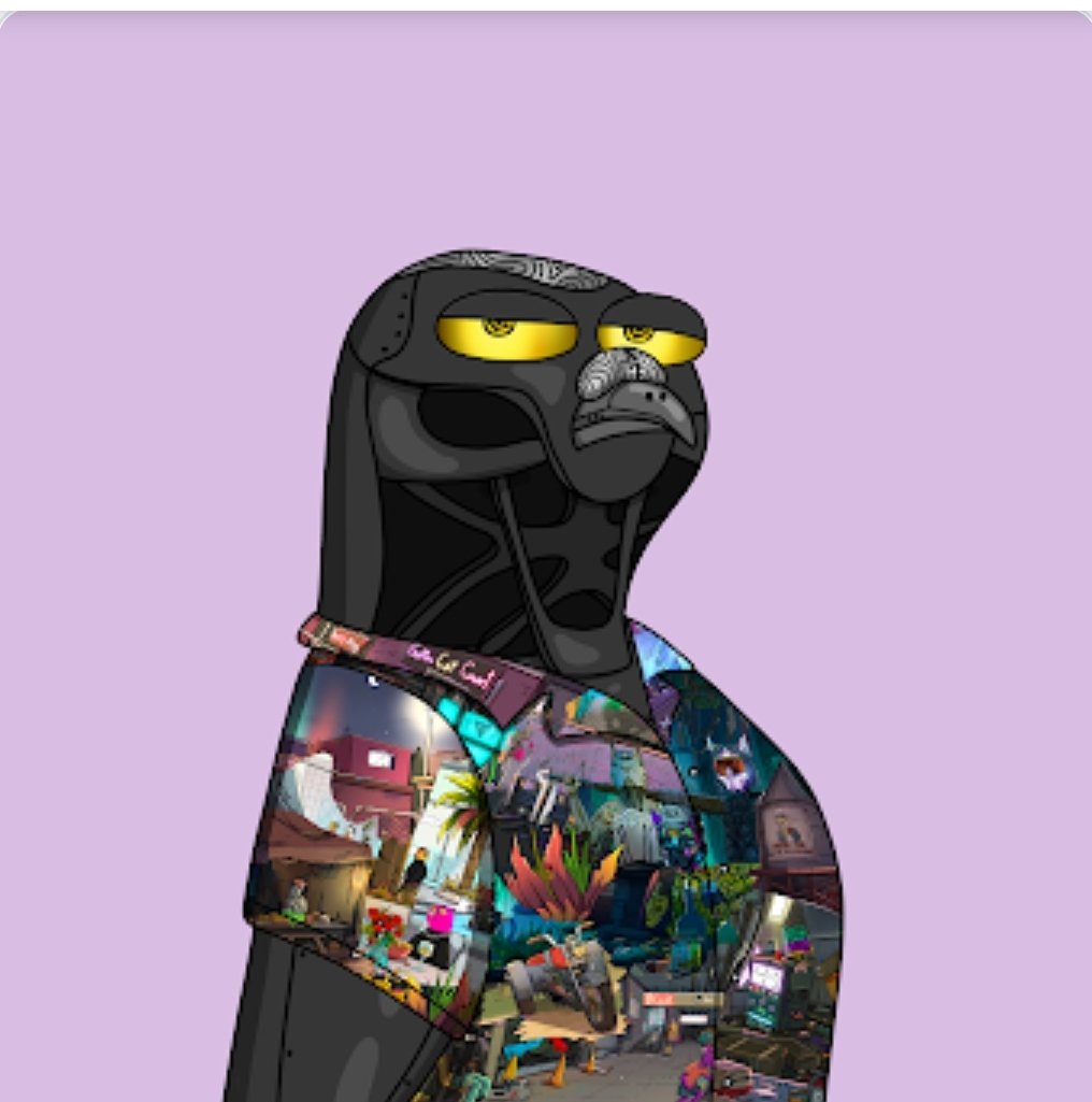 goatninjaz's tweet photo. Noice.  @GutterCatGang #ganggang #birdgang https://t.co/cyPVfvRIcJ