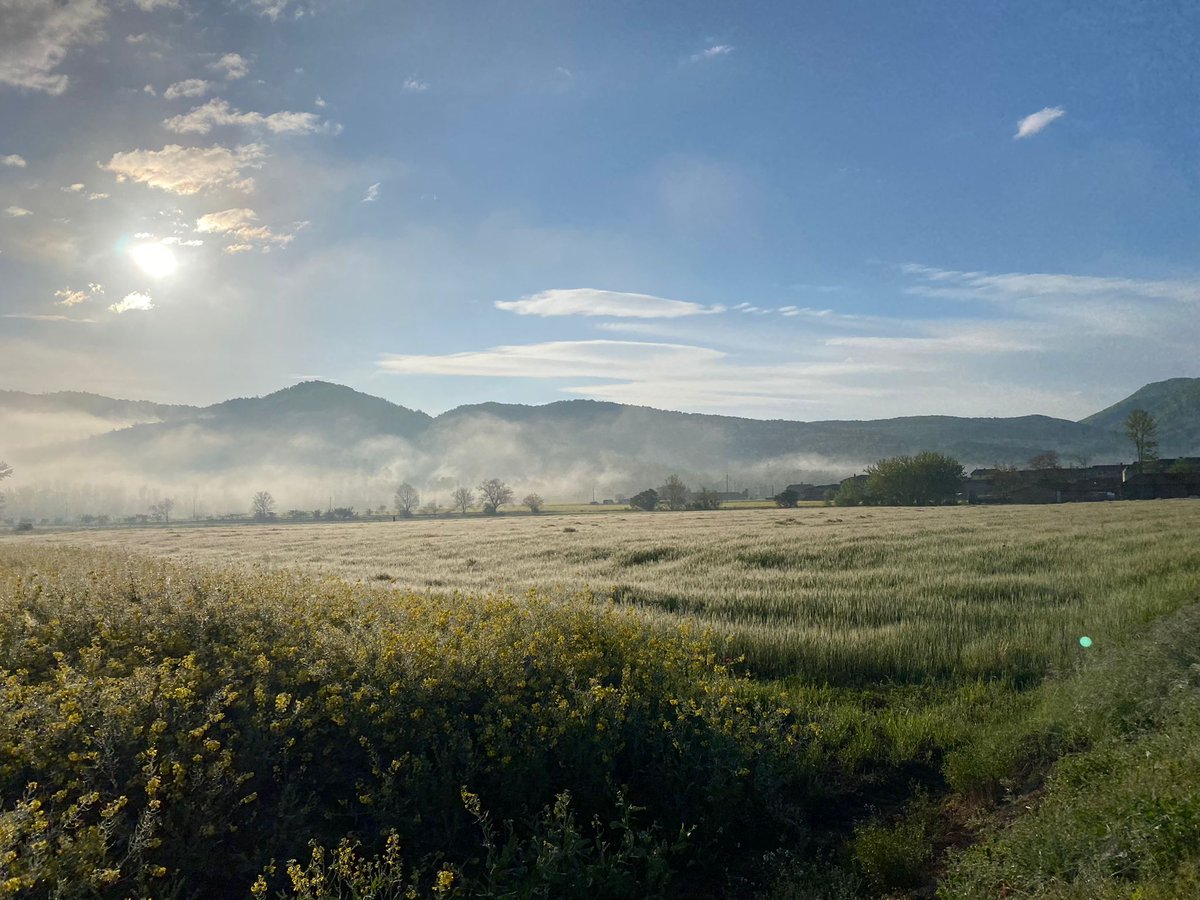 Aroilla14's tweet photo. Gràcies @GECA_84 per un matí preciós a la Vall d'en Bas. Molt ben parida aquesta gent de la Garrotxa 💚 #lletissonada https://t.co/Nl8yF7pmKy