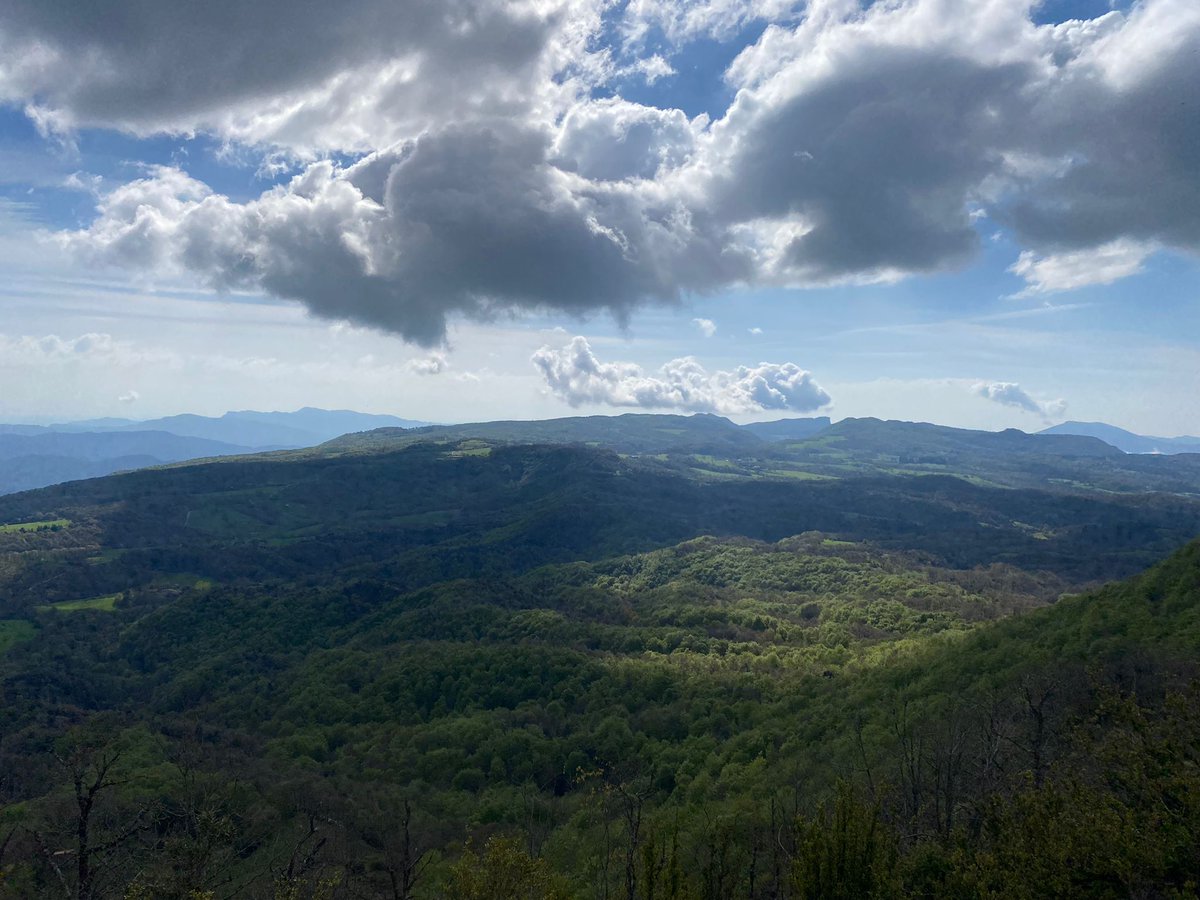 Aroilla14's tweet photo. Gràcies @GECA_84 per un matí preciós a la Vall d'en Bas. Molt ben parida aquesta gent de la Garrotxa 💚 #lletissonada https://t.co/Nl8yF7pmKy